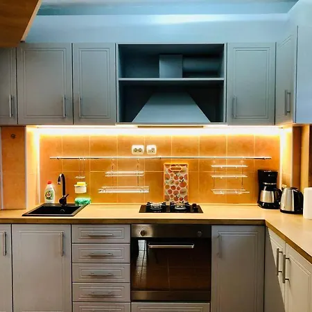 Joy Victoriei 7g-3 * Temeşvar
