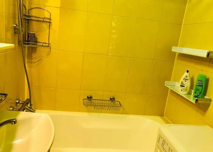 Apartment Joy Victoriei 7g-3 *