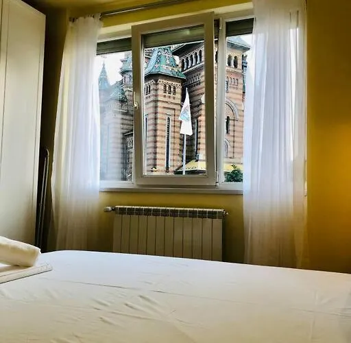 Joy Victoriei 7g-3 Timişoara