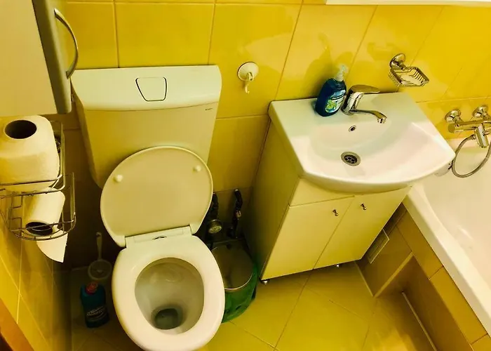 Joy Victoriei 7g-3 Apartamento *